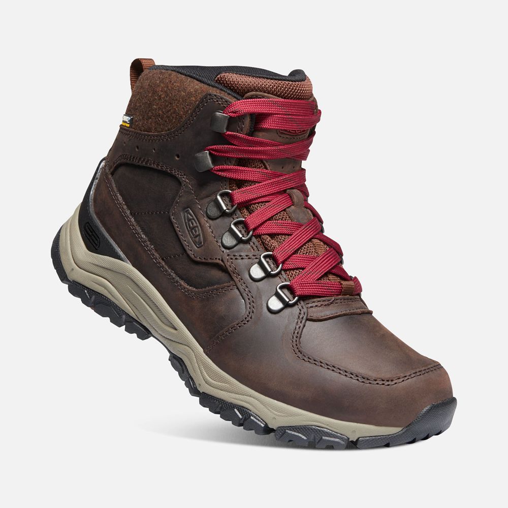 Keen Laarzen Dames Rood/Bruin - Innate Leern Waterproof - 51092-IGSP